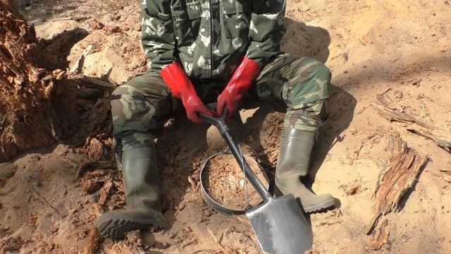 ЗОЛОТЫЕ МОНЕТЫ И БРИЛЛИАНТЫ В ТАЙНИКЕ ПОД КОРНЯМИ ДУБА!