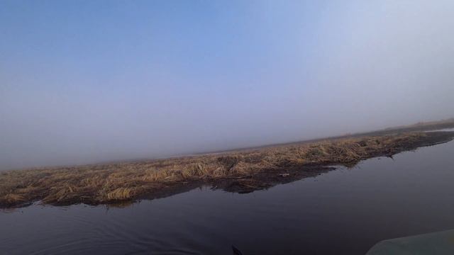 Туман и утки Утро на речке Шанталык 2022 смотреть онлайн