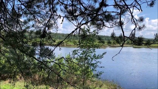 В лесу по старой карте смотреть онлайн