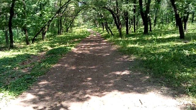 Дубовая роща в Лисичанске! Холодная ключевая, родниковая вода по дороге на Собачивку! Быть добру!!! смотреть онлайн