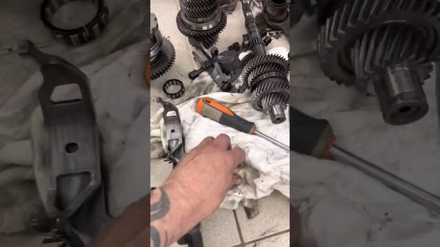 Ремонт и обслуживание ДСГ-7