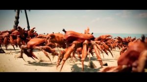 Потанцуем крабика! Club Crab