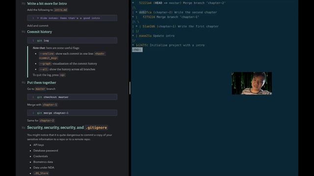 UCL DSS Internal Training: Git and GitHub смотреть онлайн