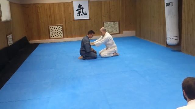 Ки Айкидо. Ки класс Степанова Ю Б смотреть онлайн
