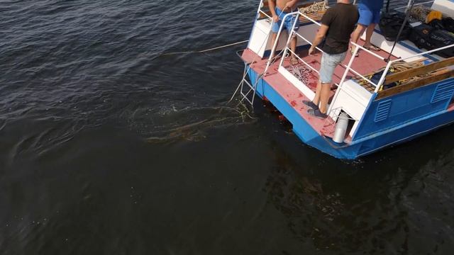 На Волге нашли тела трех пропавших на катере мужчин смотреть онлайн