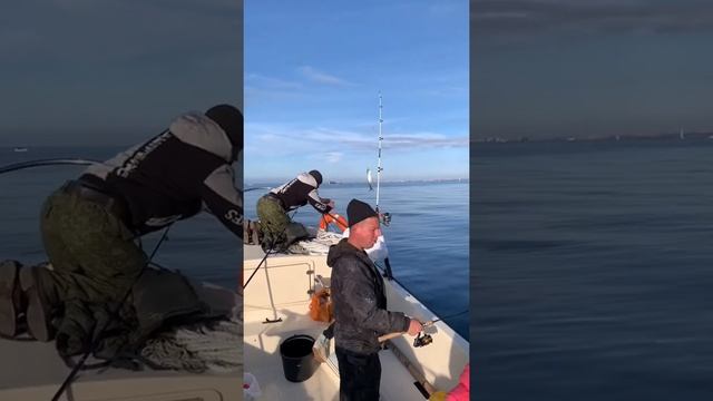 Выходные с семьей . Ловим селедку в Севастополе смотреть онлайн