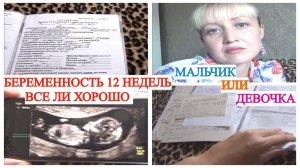 ПЕРВЫЙ СКРИНИНГ🤰 КТО МАЛЬЧИК ИЛИ ДЕВОЧКА🥳ПОСОБИЕ БЕРЕМЕННЫМ