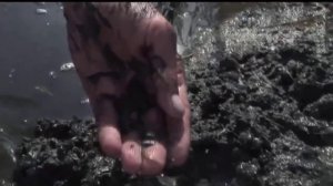 Рыбалка на Азовском море