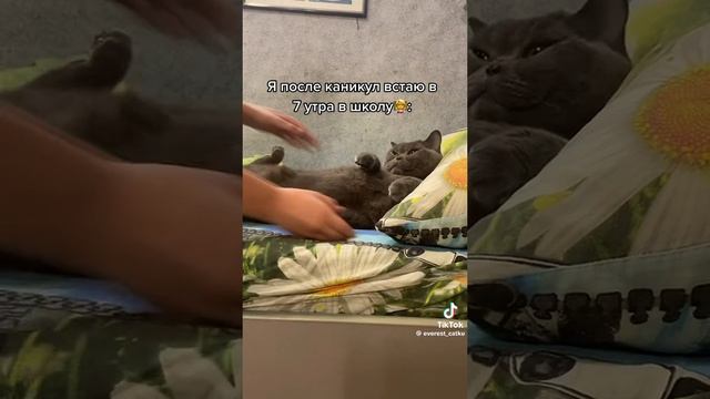 Нет только не школа?! смотреть онлайн