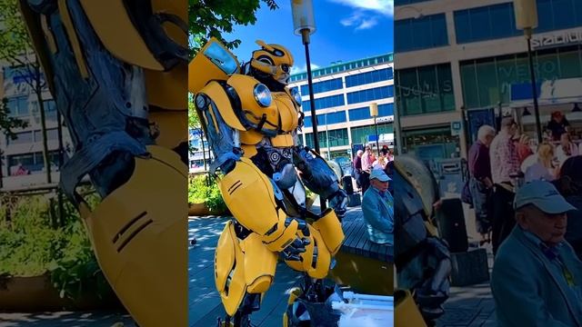 Bumblebee notice me look ? смотреть онлайн