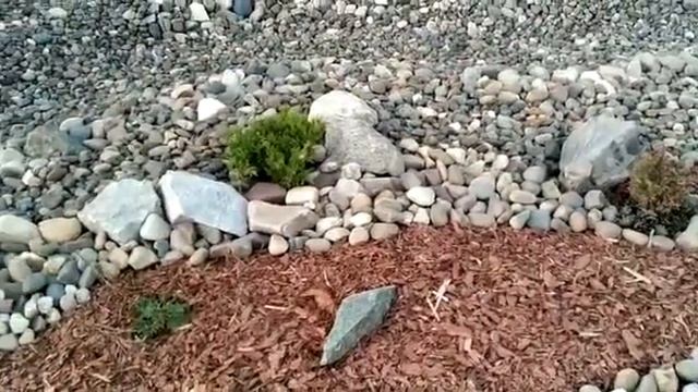 Кора лиственницы и камни в дизайне берега ручья смотреть онлайн