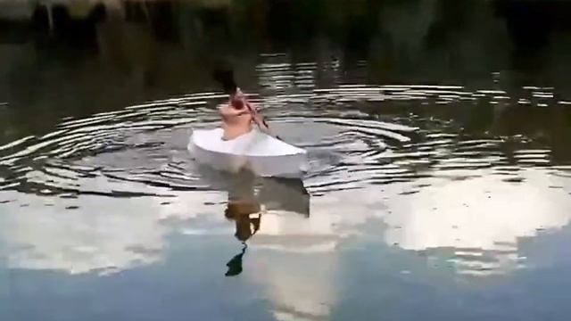 Сделали байдарку из стрейча. смотреть онлайн