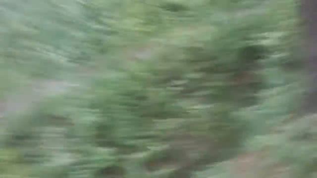 Зашибись был ураган в Электроуглях вот последствия 8 деревьев упало на дорогу( всё снято 29 мая) смотреть онлайн