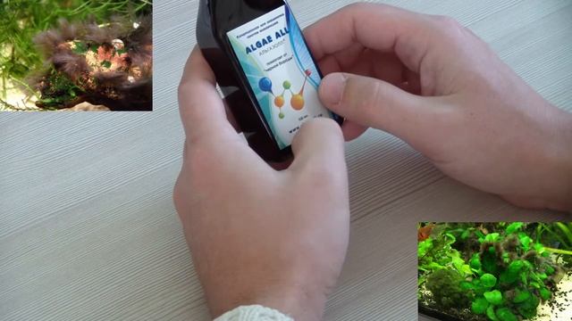 Черная борода в аквариуме. Почему? Откуда? Альгол(альгаэолл) как помощник. смотреть онлайн