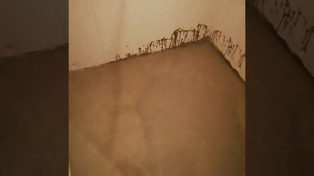 Штукатурка санузла гипсовой смесью смотреть онлайн