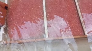 инкубация икры и подращивание малька форели, 2022