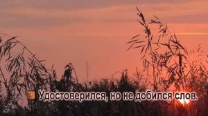 Светлана Питерская-Калина красная ,калина вызрела-караоке+бэк