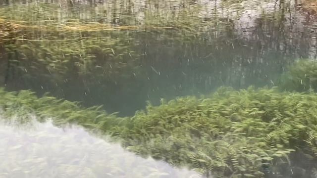 Страшно заболеть, страшно за свою жизнь с таким обращением ?♀️ ? скорая не спешит смотреть онлайн