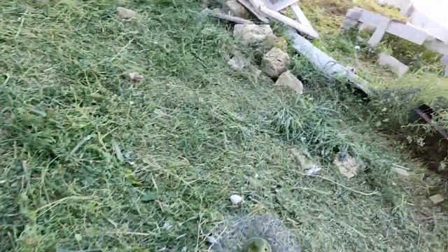 Штиль не ровно дышит к Хускварне)) смотреть онлайн