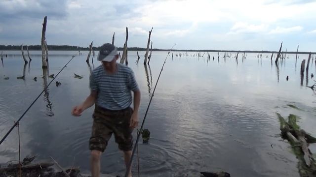 КАРП на ДОНКУ прямо среди коряг озеро ТРЕУСТАН смотреть онлайн