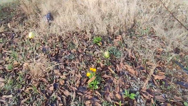 Севастополь, СНТ Гефест, уч. 1 смотреть онлайн