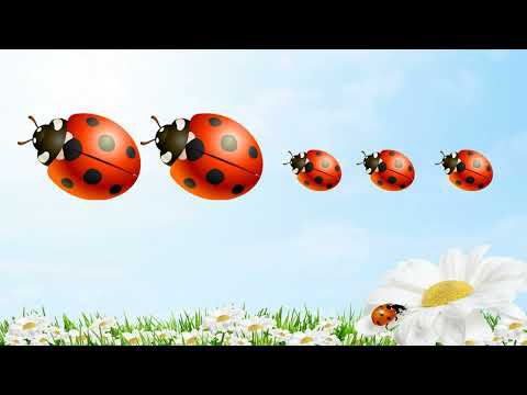 Музыкально-ритмическая игра 