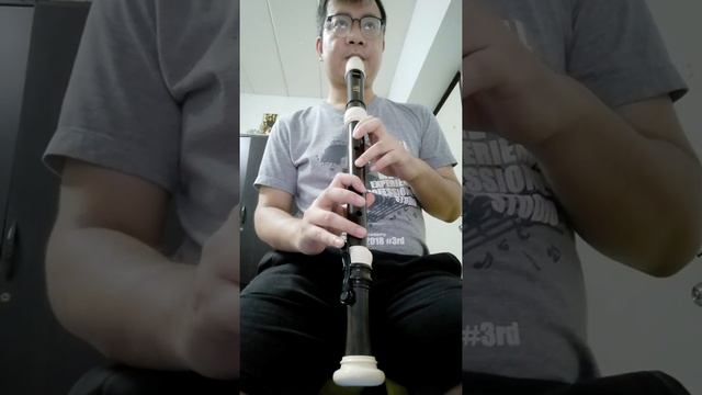 Serenade : F. Schubertanged for Tenor Recorder смотреть онлайн