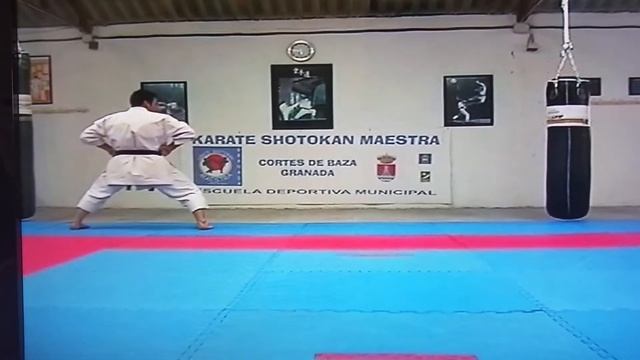 Karate Shotokan 6 Goshin смотреть онлайн