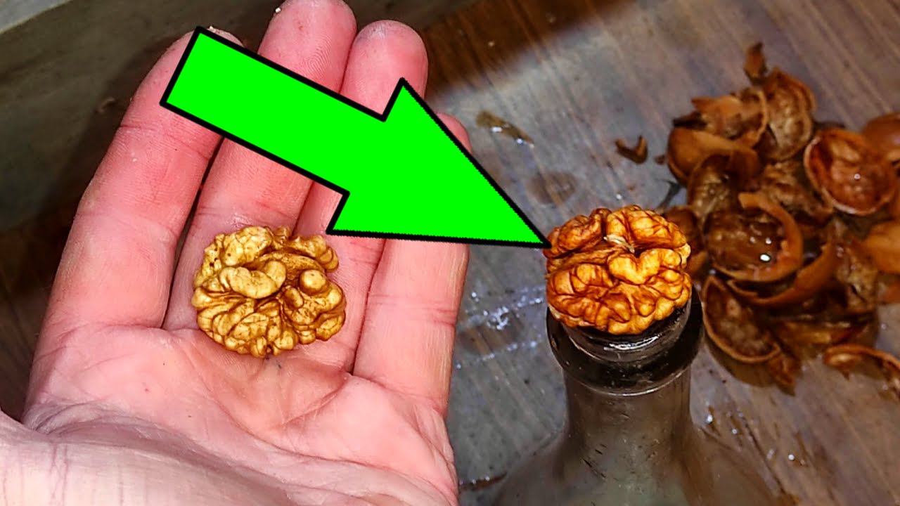 Скупщик ГРЕЦКИХ ОРЕХОВ показал, как ОЧИСТИТЬ СКОРЛУПУ и ОСТАВИТЬ орех ЦЕЛЫМ #32 смотреть онлайн