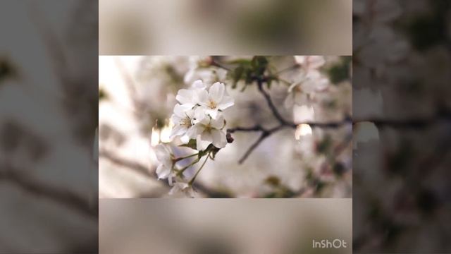 Каковы главные ценности жизни? смотреть онлайн