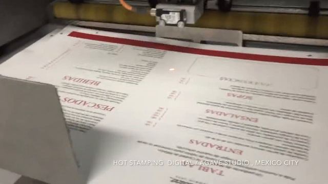 HOT STAMPING DIGITAL AGAVE STUDIO смотреть онлайн