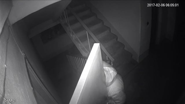 Урод совершает кражу смотреть онлайн