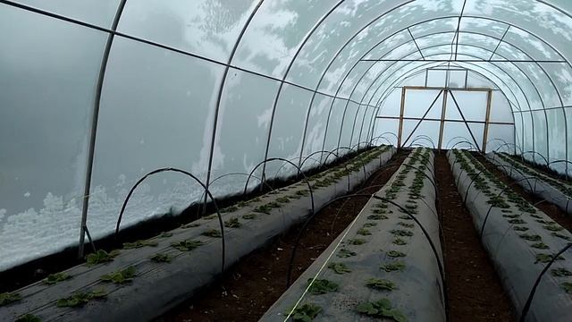 Стоимость балагана. смотреть онлайн