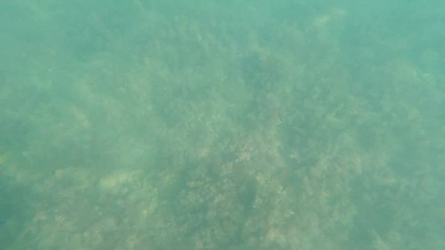 ЛАЗАРЕВСКОЕ 2020?СОЧИ.Лето продолжается! Море прозрачное и чистое!  Морское царство!