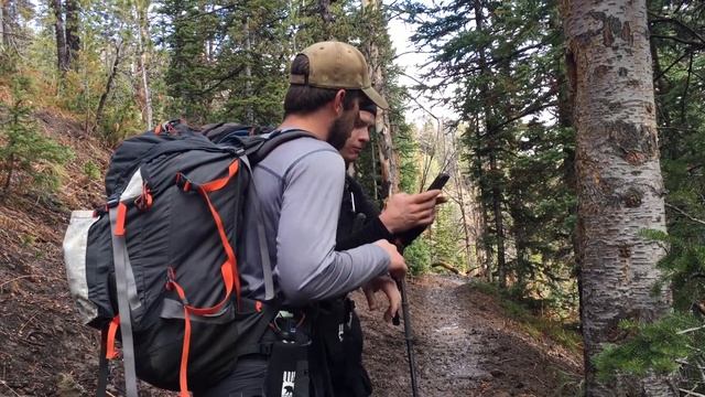 Wolverine Animal Study