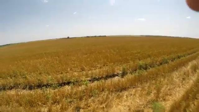 Дисковка+Подсолнечник смотреть онлайн