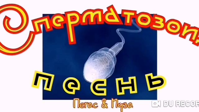 --ПЕСНЬ--Punk-- смотреть онлайн