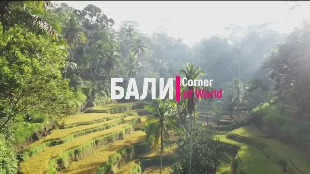 БАЛИ - Балийское блаженство! Приятный видео-тур! #Бали #Bali #Курорт #Отдых #Travel #ASMR смотреть онлайн