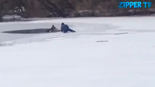 САМОЕ ДОБРОЕ ВИДЕО смотреть онлайн