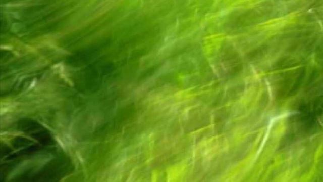 Откройте своё сердце смотреть онлайн