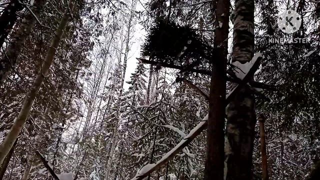 Проверка капканов на куницу и бобра!!! смотреть онлайн