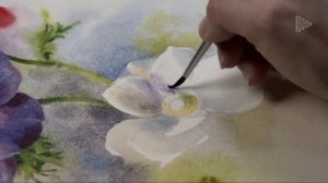 Анемоны. Рисуем акварелью с художником Анастасией Бесединой в новом курсе на Enterclass