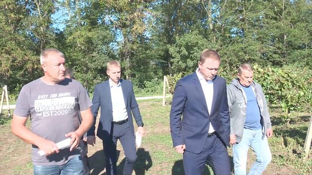 Урожайность винограда в Анапе в этом году выше, чем в предыдущем смотреть онлайн