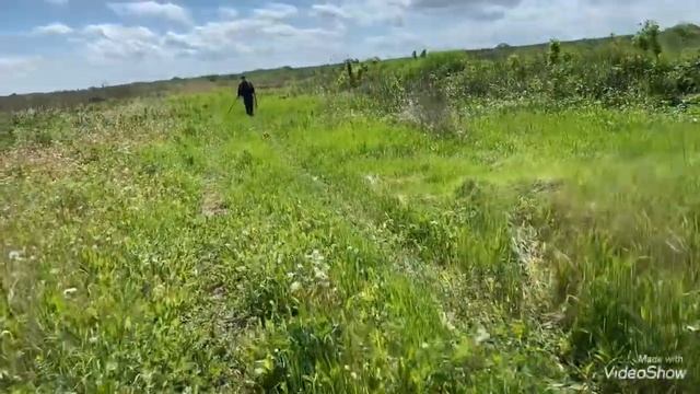 Стреляли, Копали, Поисковый Магнит не Бросали смотреть онлайн