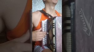 Ты неси меня река на гармони.