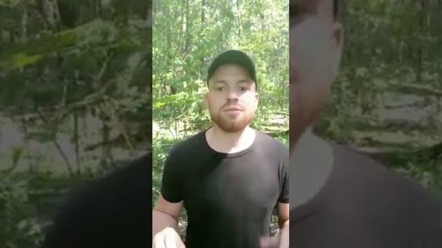 Самые важные фразы должны быть тихими !!! смотреть онлайн