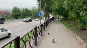 Прогулка по городу Петропавловск Камчатский