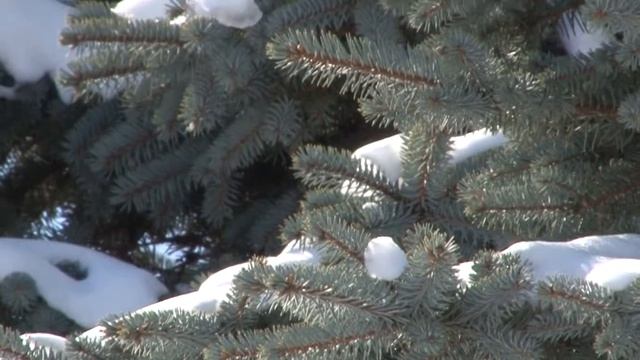 Галина Балабанова Поздний Вальс смотреть онлайн