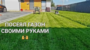 Выпуск№19 посеял газон своими руками🙌