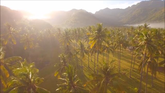 Пожелание доброго утра в стихах Красивое видео поздравление (1) смотреть онлайн